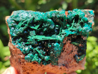 Natural Dioptase On Dolomite Specimens x 4 From Likasi, Congo