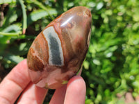 Polished Polychrome Jasper Standing Free Forms x 12 From Madagascar