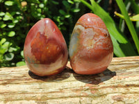 Polished Polychrome Jasper Standing Free Forms x 12 From Madagascar