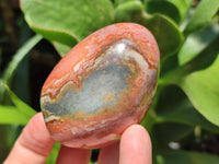 Polished Polychrome Jasper Standing Free Forms x 12 From Madagascar