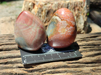 Polished Polychrome Jasper Standing Free Forms x 12 From Madagascar