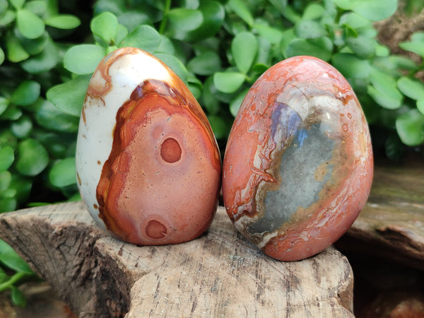 Polished Polychrome Jasper Standing Free Forms x 12 From Madagascar