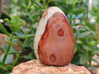 Polished Polychrome Jasper Standing Free Forms x 12 From Madagascar