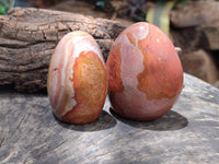 Polished Polychrome Jasper Standing Free Forms x 12 From Madagascar