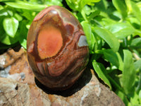 Polished Polychrome Jasper Standing Free Forms x 12 From Madagascar