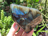 Polished Labradorite Standing Free Forms x 2 From Madagascar