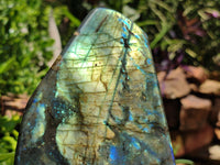 Polished Labradorite Standing Free Forms x 2 From Madagascar