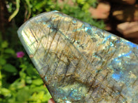 Polished Labradorite Standing Free Forms x 2 From Madagascar