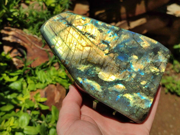 Polished Labradorite Standing Free Forms x 2 From Madagascar