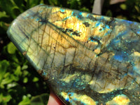 Polished Labradorite Standing Free Forms x 2 From Madagascar