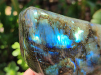 Polished Labradorite Standing Free Forms x 2 From Madagascar