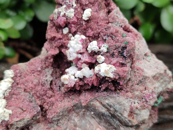 Natural Salrose Cobaltion Dolomite Specimens x 3 From Kakanda, Congo