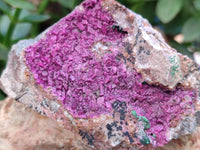 Natural Salrose Cobaltion Dolomite Specimens x 3 From Kakanda, Congo