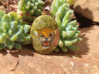 Polished Unakite Pendant with Hand Painted Leopard - Sold Per Item - From South Africa