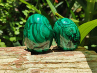 Polished Flower Banded Malachite Gemstone Eggs x 5 From Congo