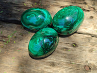 Polished Flower Banded Malachite Gemstone Eggs x 5 From Congo