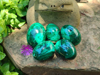 Polished Flower Banded Malachite Gemstone Eggs x 5 From Congo