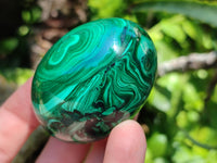 Polished Flower Banded Malachite Gemstone Eggs x 5 From Congo