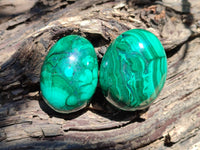 Polished Flower Banded Malachite Gemstone Eggs x 5 From Congo