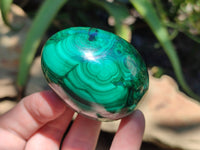 Polished Flower Banded Malachite Gemstone Eggs x 5 From Congo