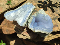 Natural Blue Lace Agate Geode Specimens x 12 From Malawi