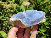 Natural Blue Lace Agate Geode Specimens x 12 From Malawi