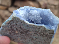 Natural Blue Lace Agate Geode Specimens x 12 From Malawi