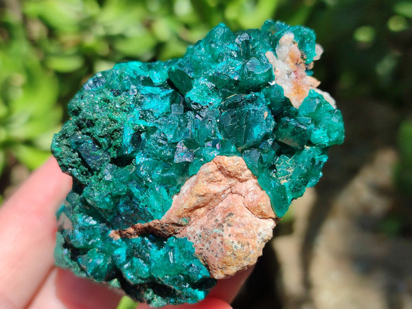 Natural Dioptase On Dolomite Specimens x 4 From Likasi, Congo