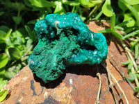 Natural Dioptase On Dolomite Specimens x 4 From Likasi, Congo