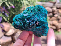 Natural Dioptase On Dolomite Specimens x 4 From Likasi, Congo