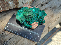 Natural Dioptase On Dolomite Specimens x 4 From Likasi, Congo