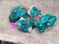 Natural Dioptase On Dolomite Specimens x 4 From Likasi, Congo