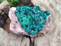 Natural Dioptase On Dolomite Specimens x 4 From Likasi, Congo