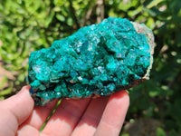 Natural Dioptase On Dolomite Specimens x 4 From Likasi, Congo