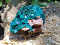 Natural Dioptase On Dolomite Specimens x 4 From Likasi, Congo