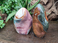 Polished Polychrome Jasper Standing Free Forms x 2 From Madagascar