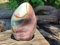 Polished Polychrome Jasper Standing Free Forms x 2 From Madagascar