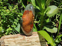 Polished Polychrome Jasper Standing Free Forms x 2 From Madagascar