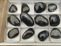 Polished Pharaoh Stone Palm Stones x 12 From Zimbabwe