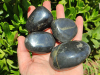 Polished Pharaoh Stone Palm Stones x 12 From Zimbabwe