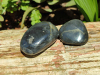 Polished Pharaoh Stone Palm Stones x 12 From Zimbabwe