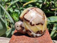 Hand Made Septerye Tortoise Carvings x 4 From Madagascar