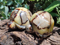 Hand Made Septerye Tortoise Carvings x 4 From Madagascar