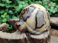 Hand Made Septerye Tortoise Carvings x 4 From Madagascar