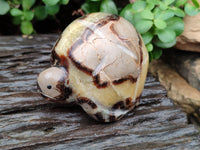 Hand Made Septerye Tortoise Carvings x 4 From Madagascar