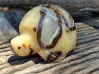 Hand Made Septerye Tortoise Carvings x 4 From Madagascar