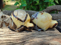 Hand Made Septerye Tortoise Carvings x 4 From Madagascar