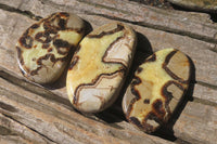 Polished Septerye Slices x 12 From Madagascar