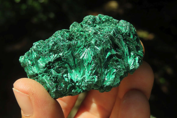 Natural Silky Malachite Specimens x 12 From Kasompe, Congo