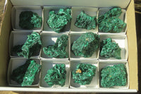 Natural Silky Malachite Specimens x 12 From Kasompe, Congo